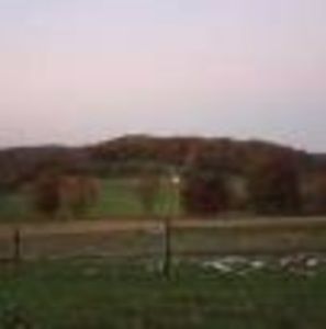 Meet your Posher, Adam